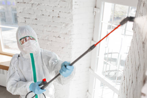 Mold Remediation for Rental Properties in Glade Spring, VA